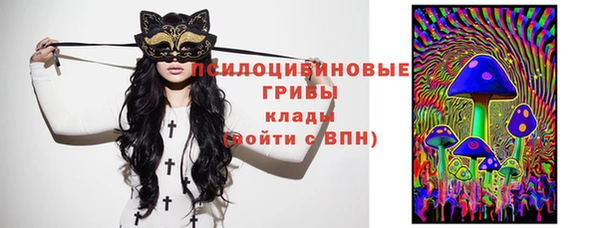 дживик Балахна