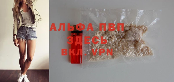 PSILOCYBIN Балабаново