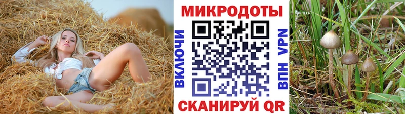 МЕГА зеркало  Оленегорск  Галлюциногенные грибы Psilocybe 